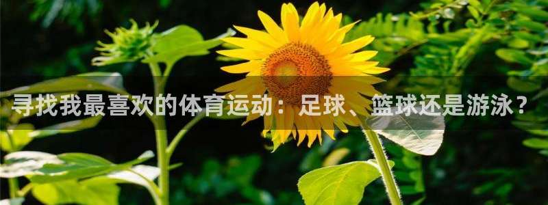 劲爆体育电视台：寻找我最喜欢的体育运动：足球、篮球还是游泳？