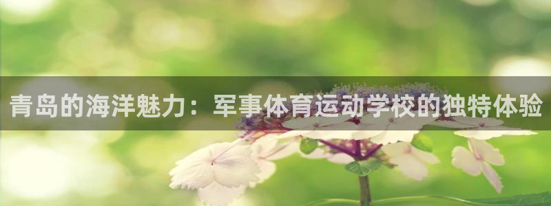 劲爆体育有app吗：青岛的海洋魅力：军事体育运动学校的独特体验