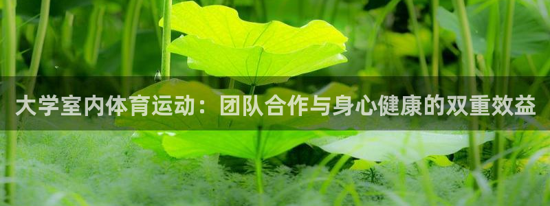 劲爆体育免费观看：大学室内体育运动：团队合作与身心健康的双重效益